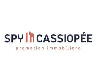 spy-cassiopee-services